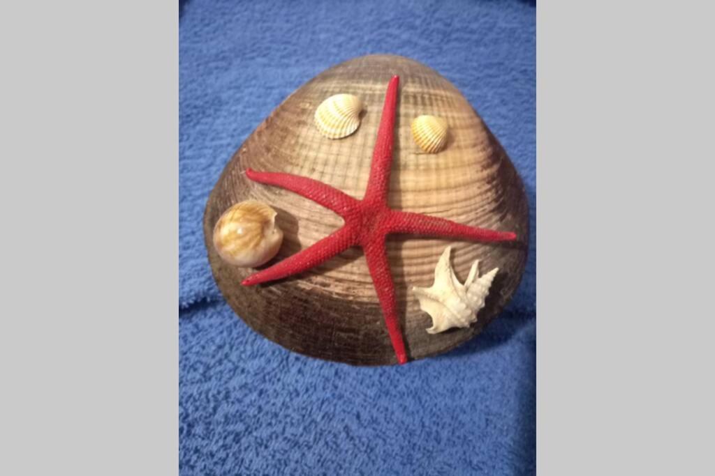 Sea Star - Appartamento Per Le Tue Vacanze Al Mare リポスト エクステリア 写真